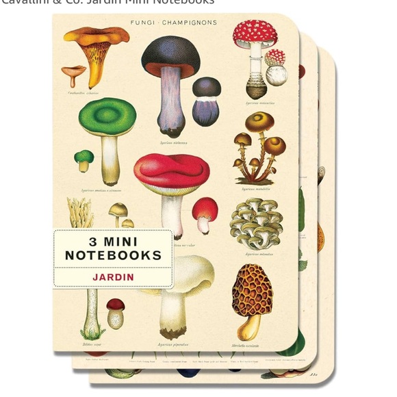 Cavallini & Co. Jardin Fungi Mushroom Mini Notebooks - Set of 3 - Softcover, NWT - Picture 1 of 2